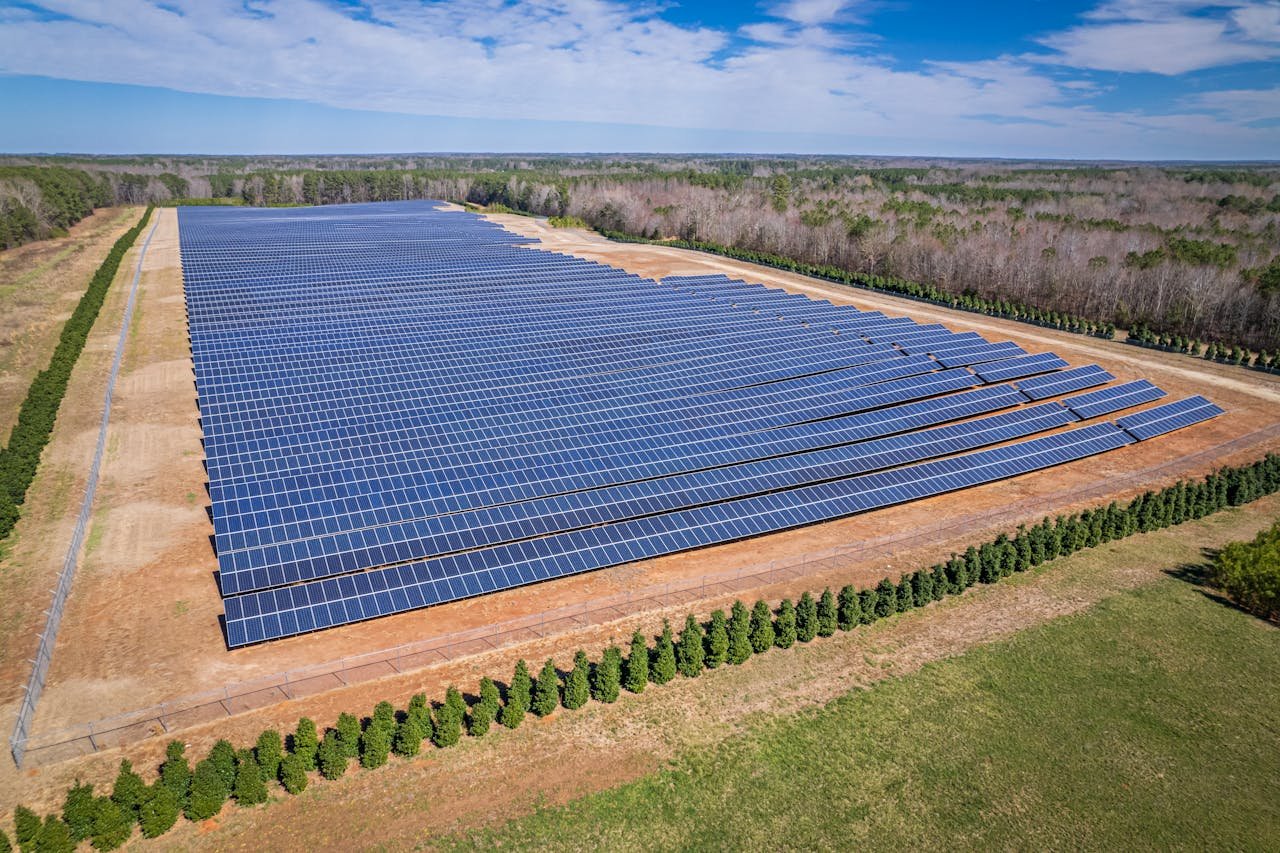our-story-01 A broad aerial view of a sunlit solar farm surrounded by trees in White Level, NC.