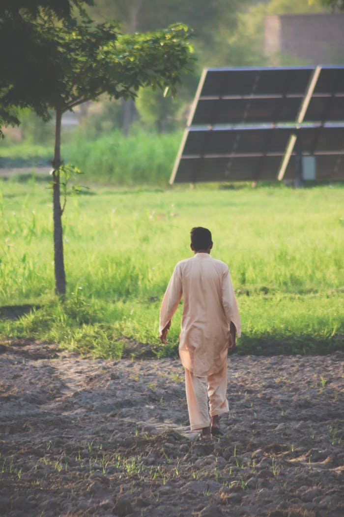 about-06 A man walks through a lush field under the sun near solar panels.