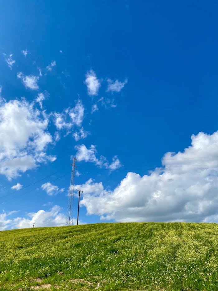 why-choose-us-02 A vibrant grassy hill with blue sky and clouds, featuring a communication tower.